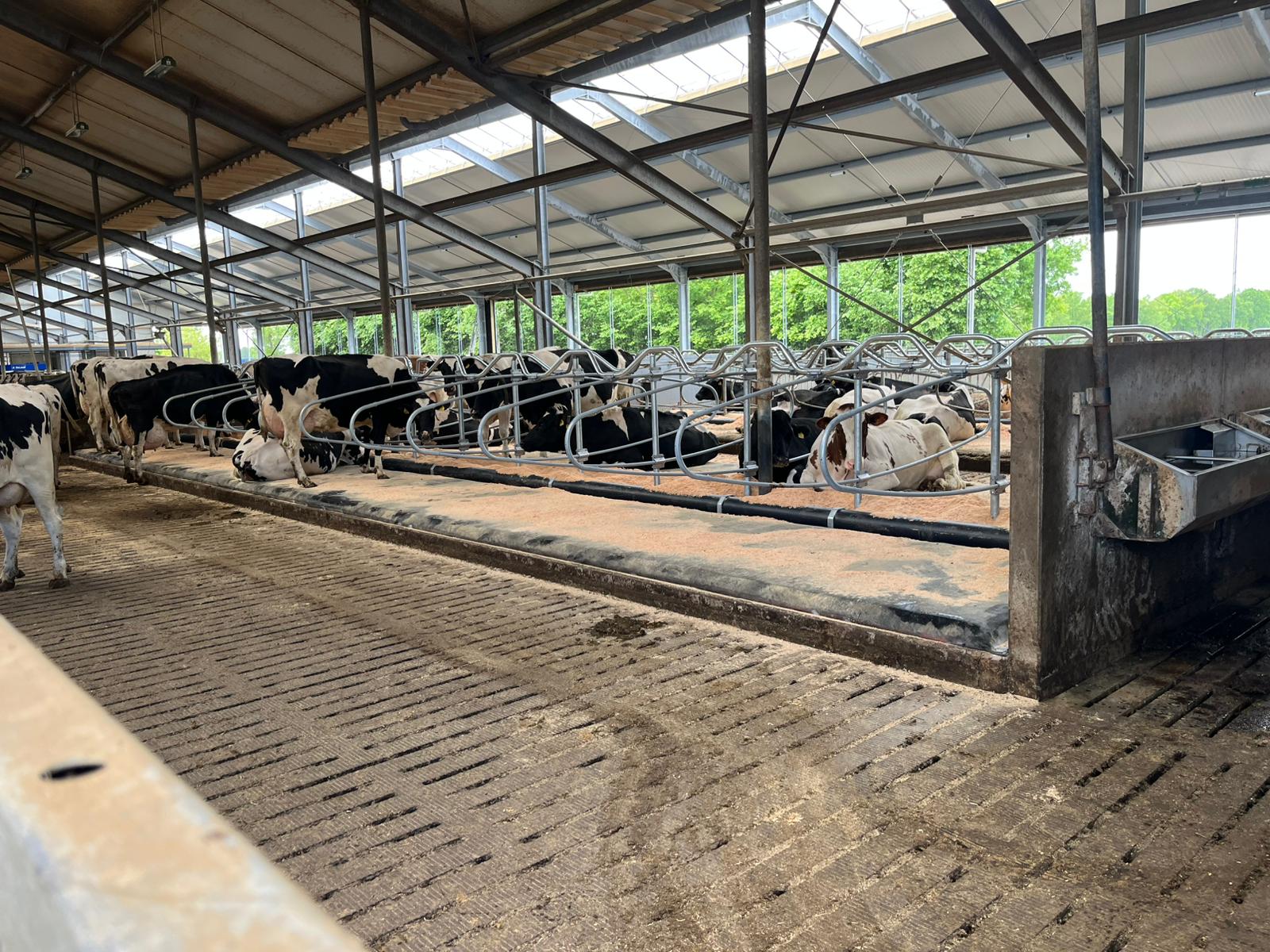 IMG-20250523-WA0001 (1)